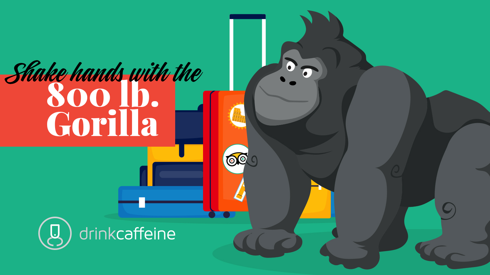 Dc Blog 06 8 Tripadvisor